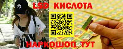 PSILOCYBIN Донской