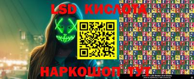 PSILOCYBIN Донской