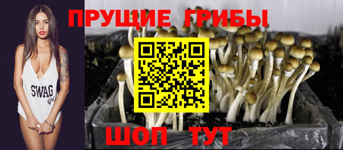 Галлюциногенные грибы Cubensis Красноперекопск